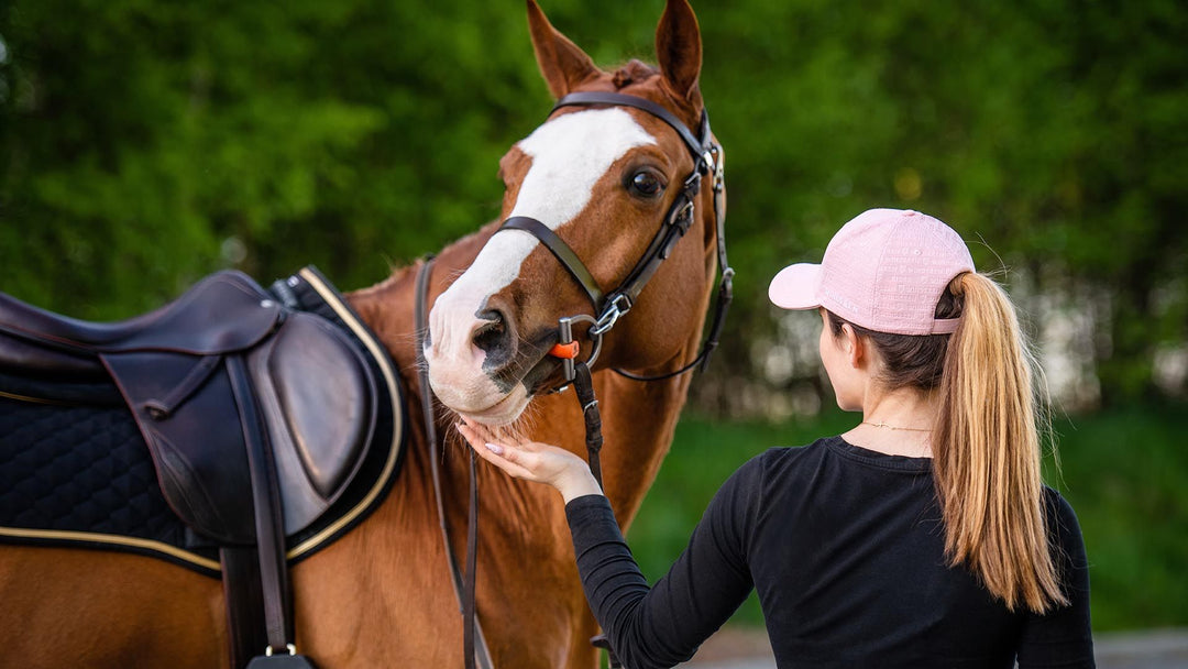 Bits For Horse Winderen