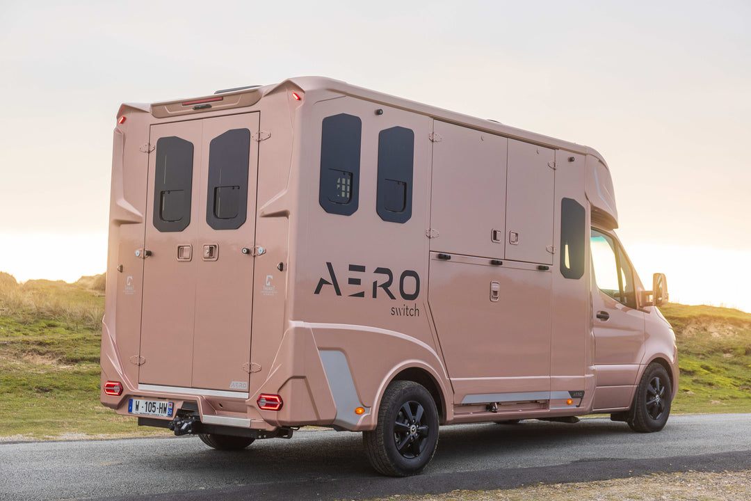 Theault - Aero Sprinter Horsetruck