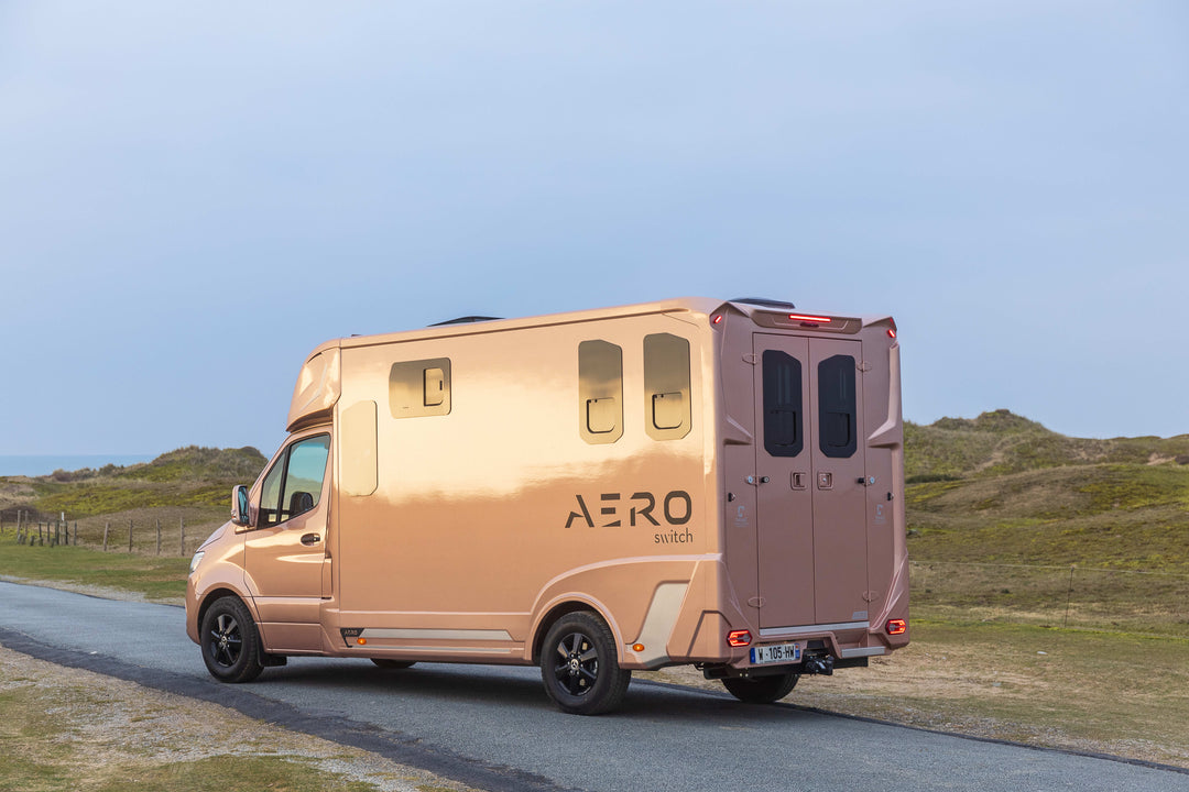 Theault - Aero Sprinter Horsetruck