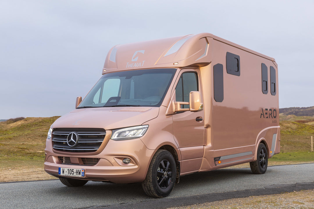 Theault - Aero Sprinter Horsetruck