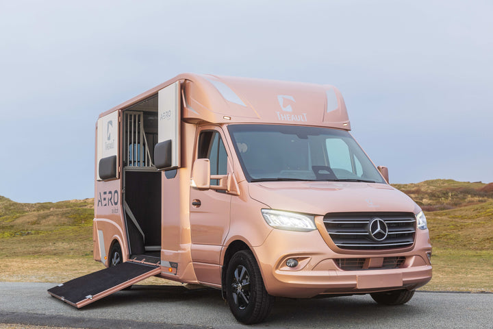 Theault - Aero Sprinter Horsetruck