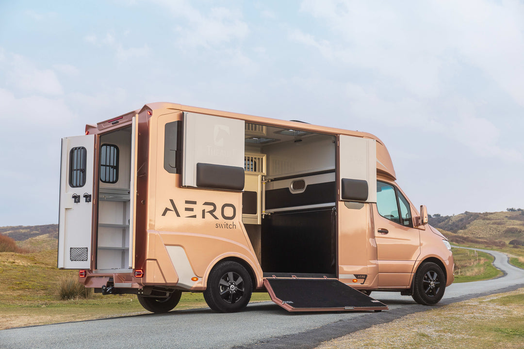 Theault - Aero Sprinter Horsetruck