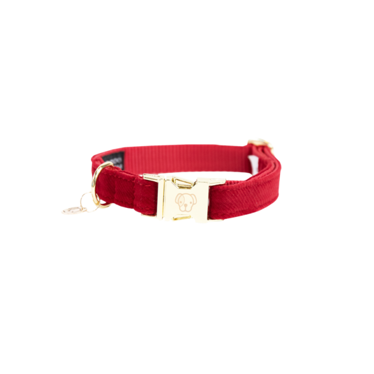Kentucky Horsewear Dog Collar Corduroy