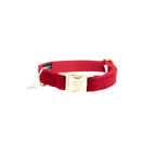 Kentucky Horsewear Dog Collar Corduroy