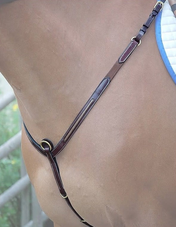 Dyon Breastplate Snake