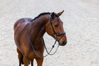 Trust Equestrian Training Bridle