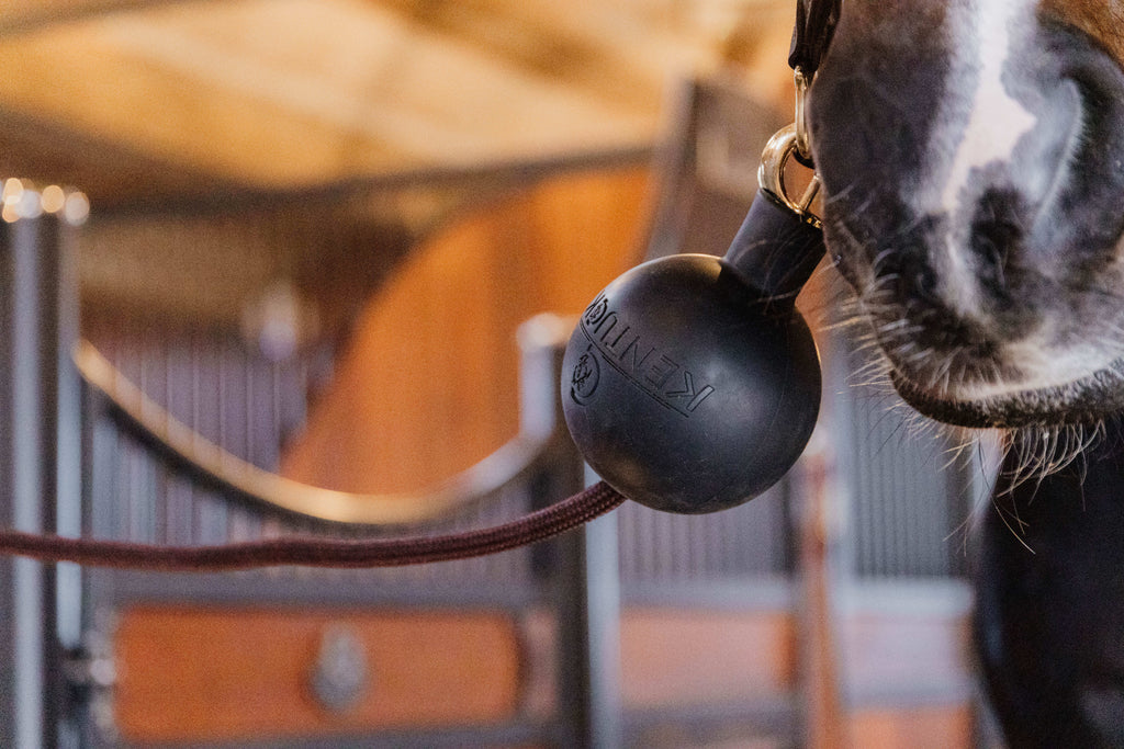 Kentucky Rubber Ball Protection Wall & Lead Black