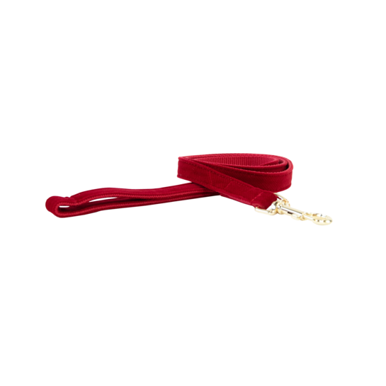 Kentucky Horsewear Dog Lead Corduroy