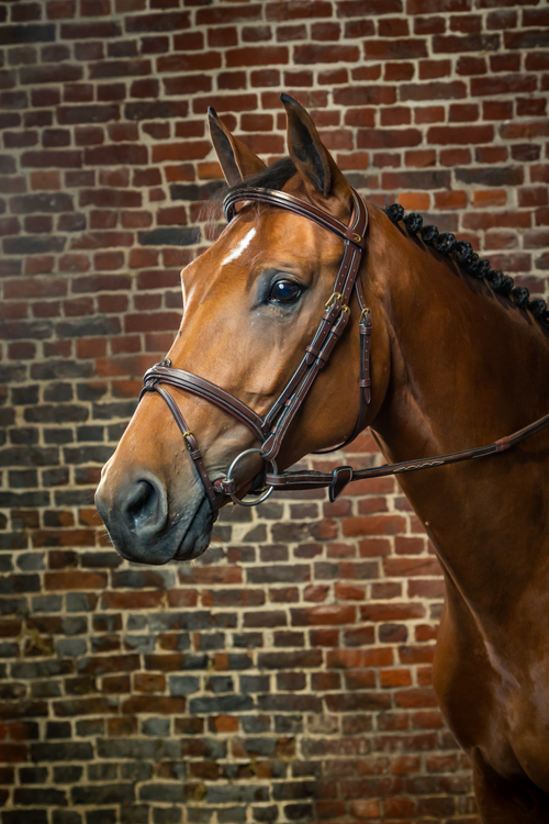 Dyon Flash Noseband Bridle