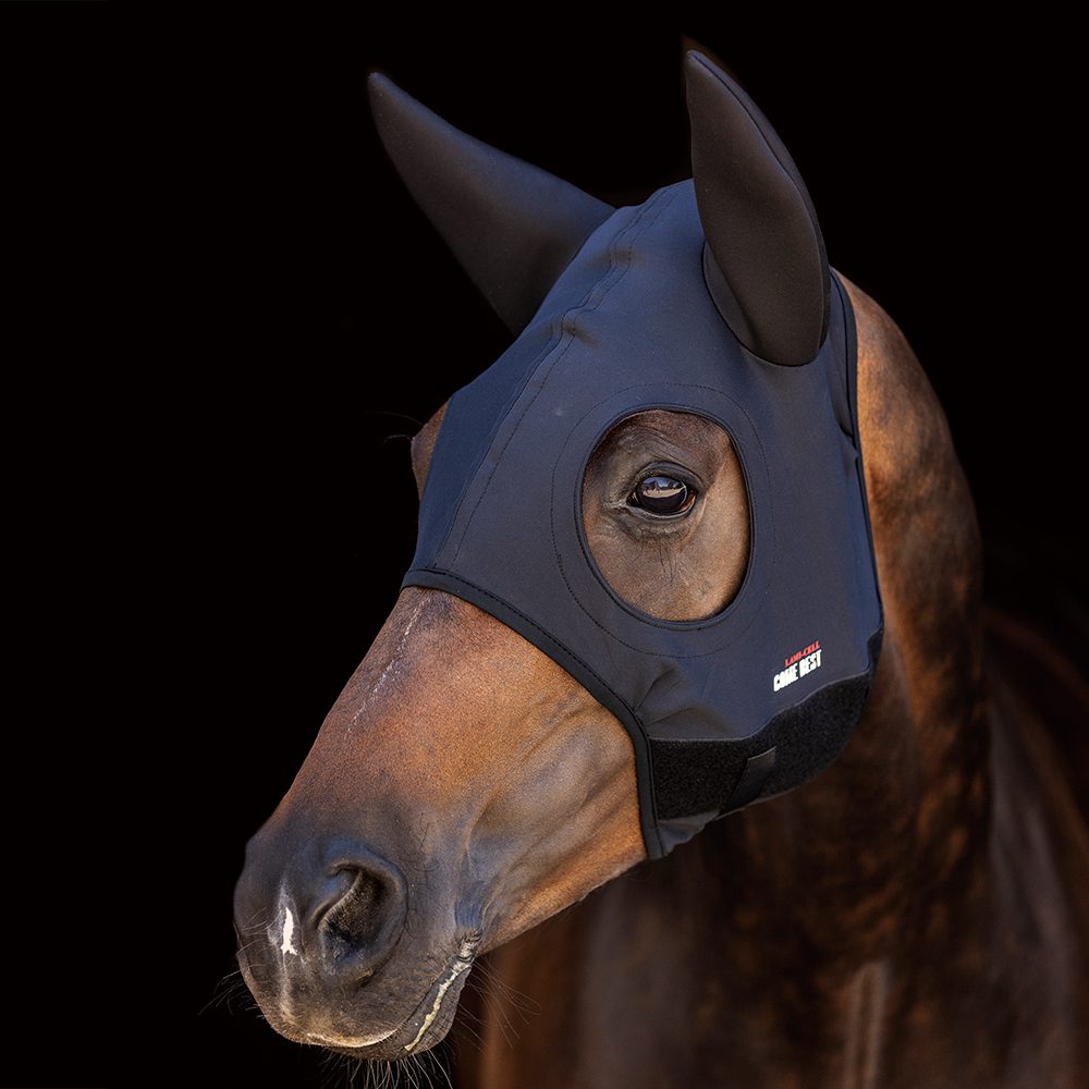 Lami-Cell Titanium Mask Come Best With Ears
