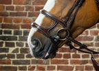 Dyon Double Noseband