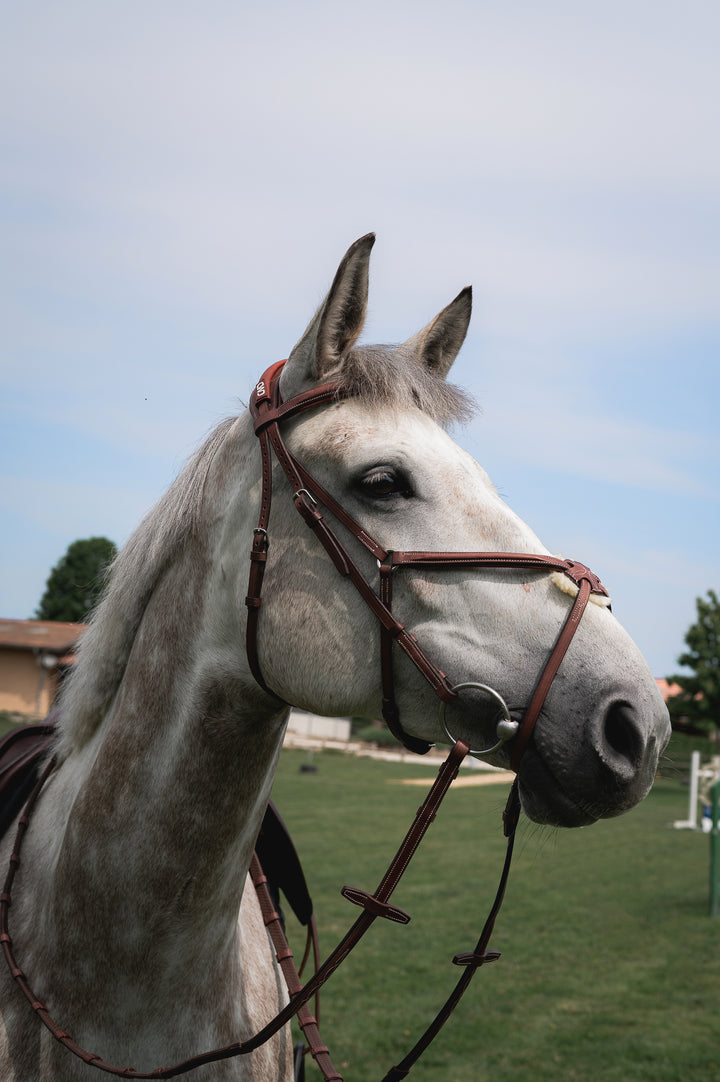 CWD Raised Figure 8 Noseband