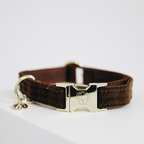 Kentucky Horsewear Dog Collar Corduroy