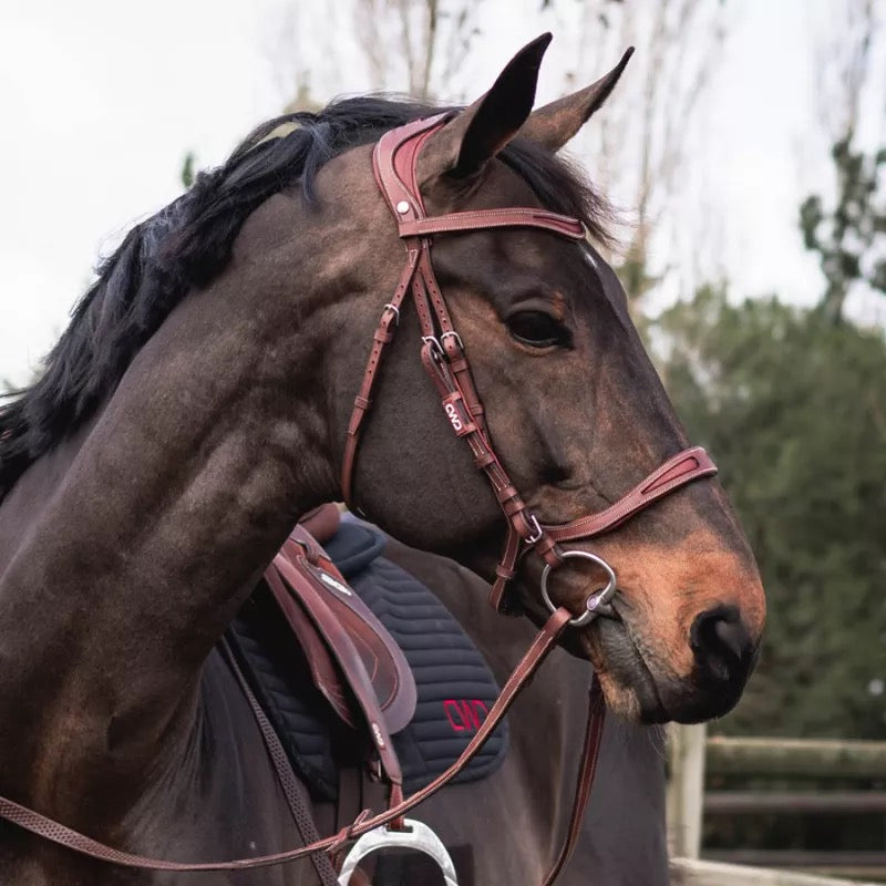 CWD FlexMotion Bridle