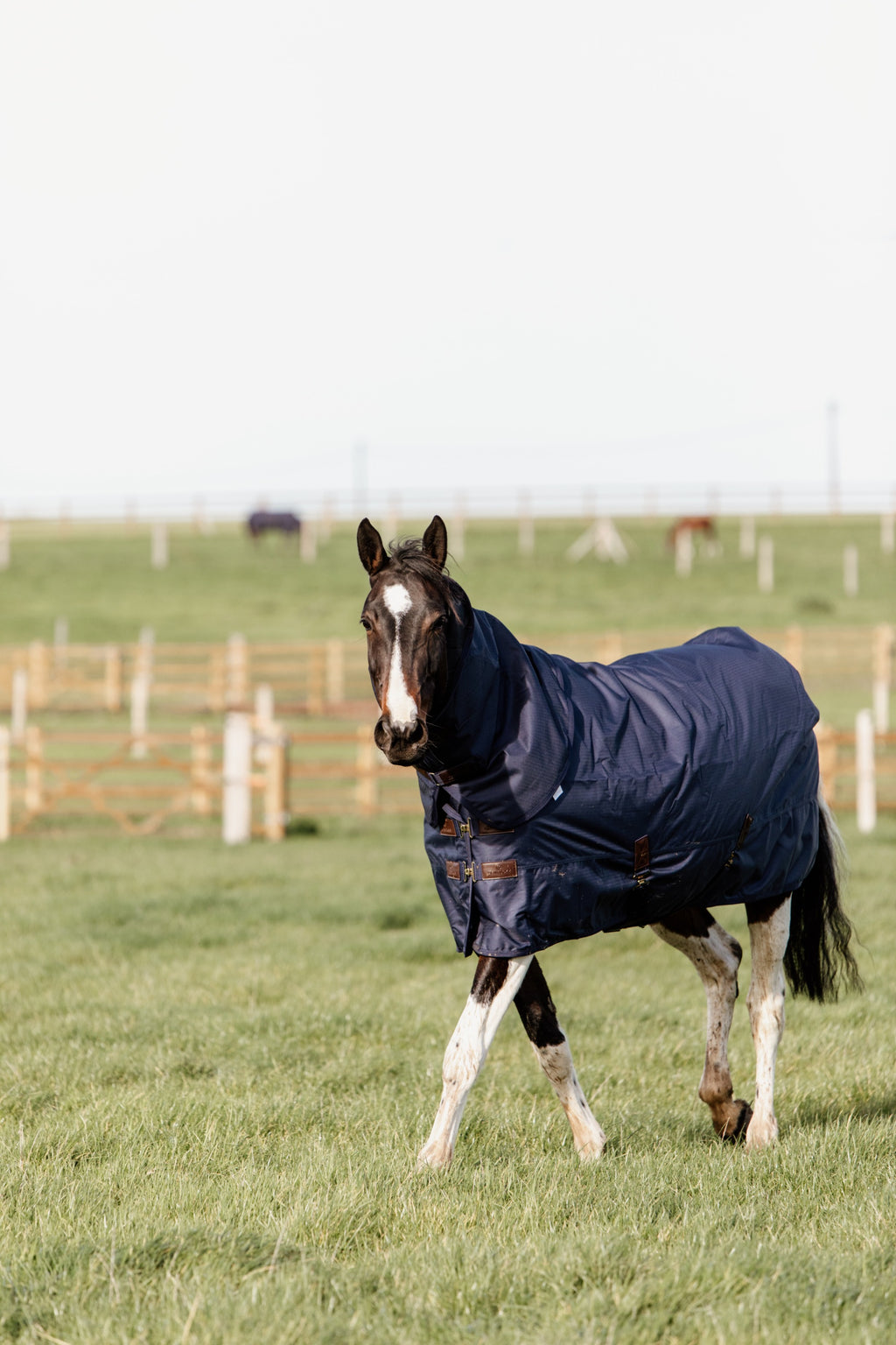 Kentucky Horsewear Turnout Rug All Weather Quick Dry Fleece with Neck 150g - shown in navy