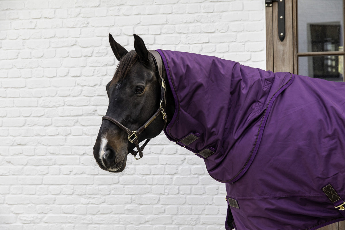 Kentucky Horsewear Turnout Rug All Weather Quick Dry Fleece with Neck 150g - shown in navy