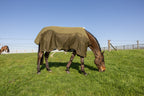 Kentucky Horsewear Transport Combo Cooler Fleece pine green