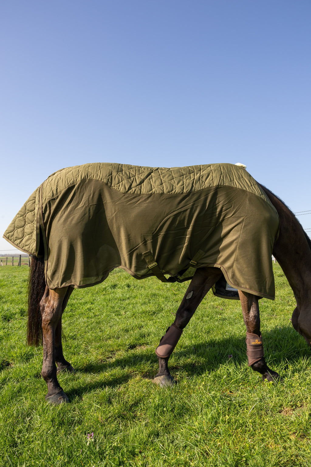 Kentucky Horsewear Transport Combo Cooler Fleece pine green