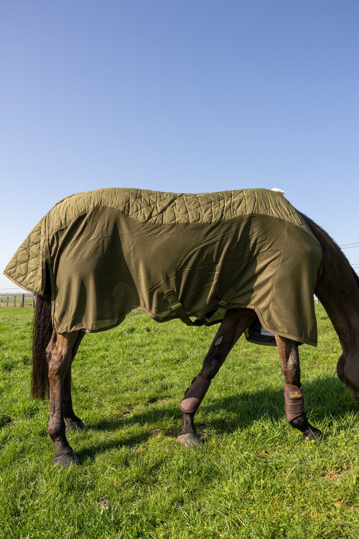 Kentucky Horsewear Transport Combo Cooler Fleece pine green
