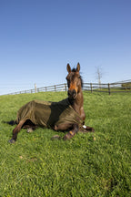 Kentucky Horsewear Transport Combo Cooler Fleece pine green
