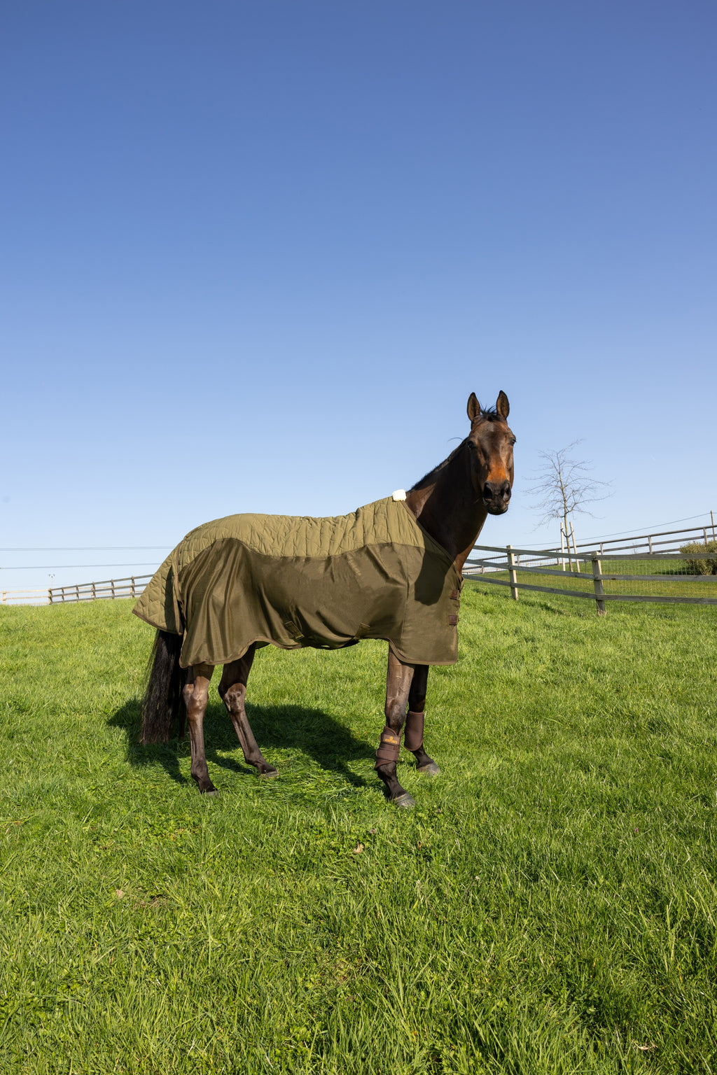 Kentucky Horsewear Transport Combo Cooler Fleece pine green