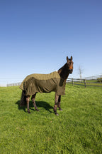 Kentucky Horsewear Transport Combo Cooler Fleece pine green