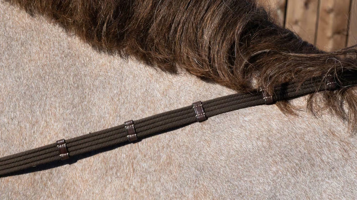 Dyon 5/8 Web Reins With 9 Leather Loops
