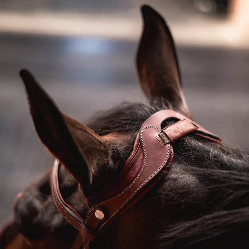 CWD FlexMotion Bridle