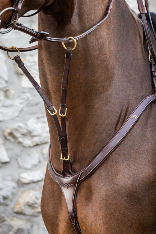 Dyon Running Martingale Attachment