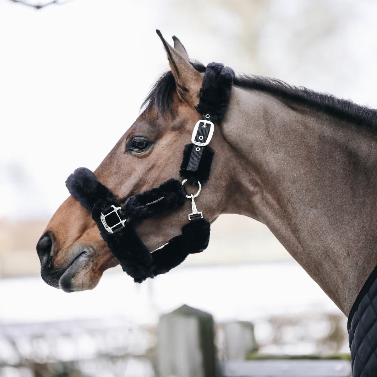 Kentucky Horsewear Sheepskin Shipping Halter