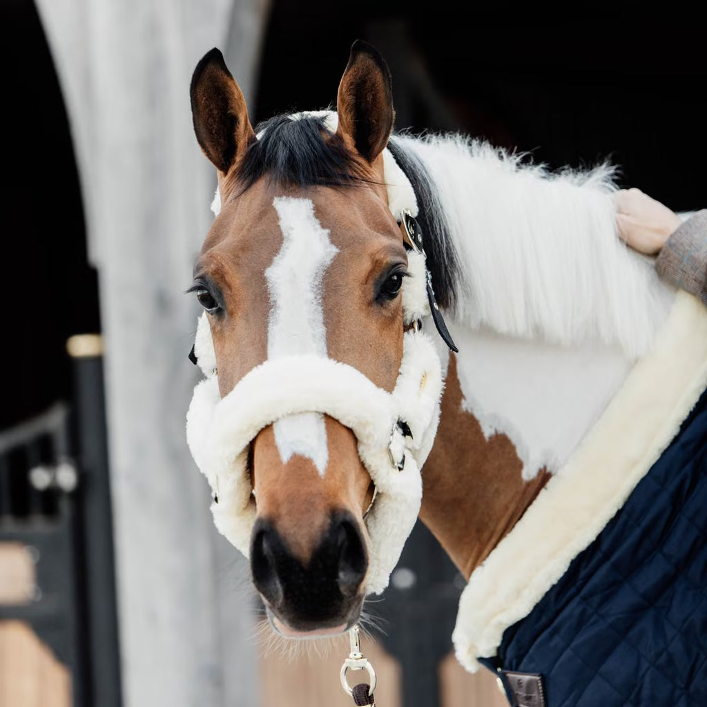 Kentucky Horsewear Sheepskin Shipping Halter
