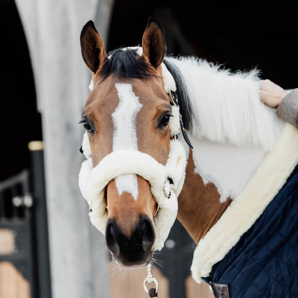 Kentucky Horsewear Sheepskin Shipping Halter