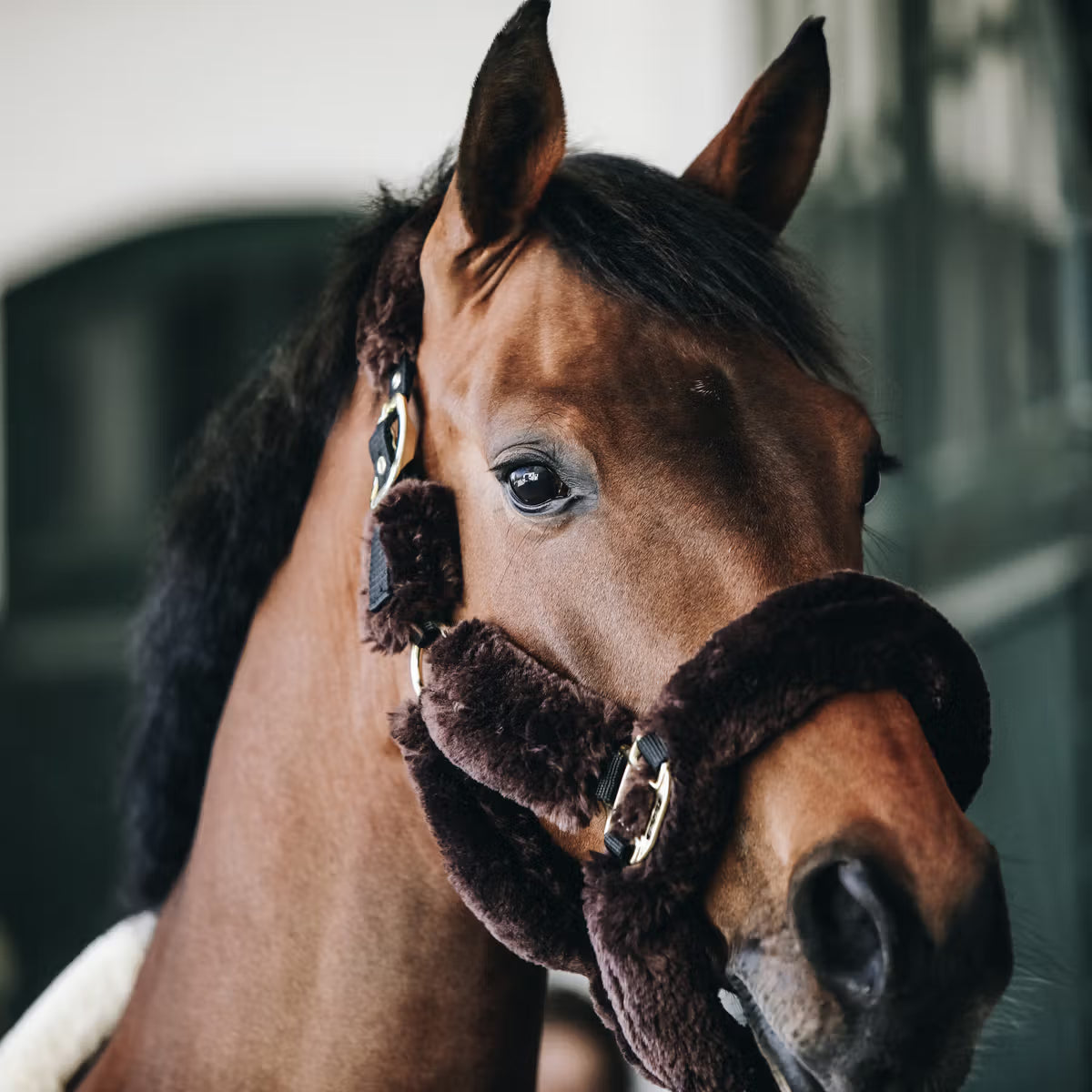 Kentucky Horsewear Sheepskin Shipping Halter