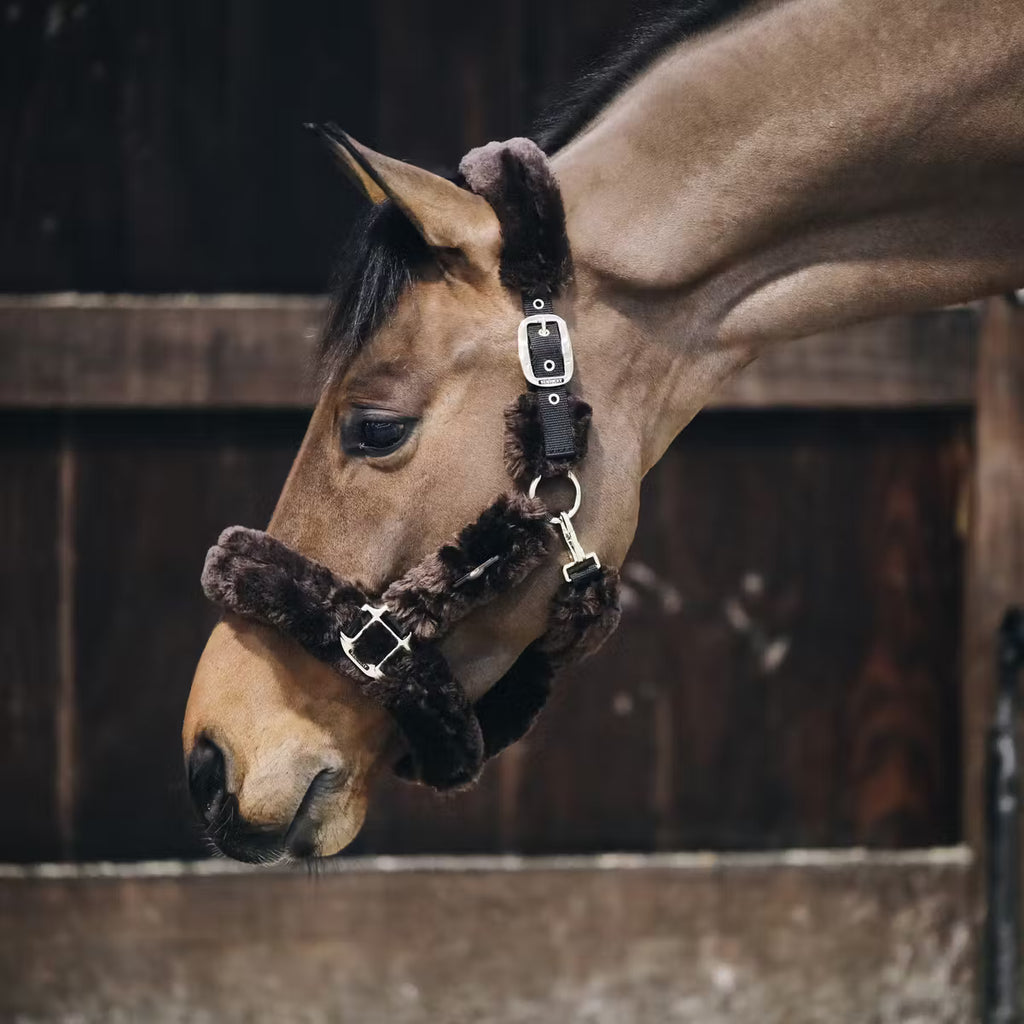 Kentucky Horsewear Sheepskin Shipping Halter