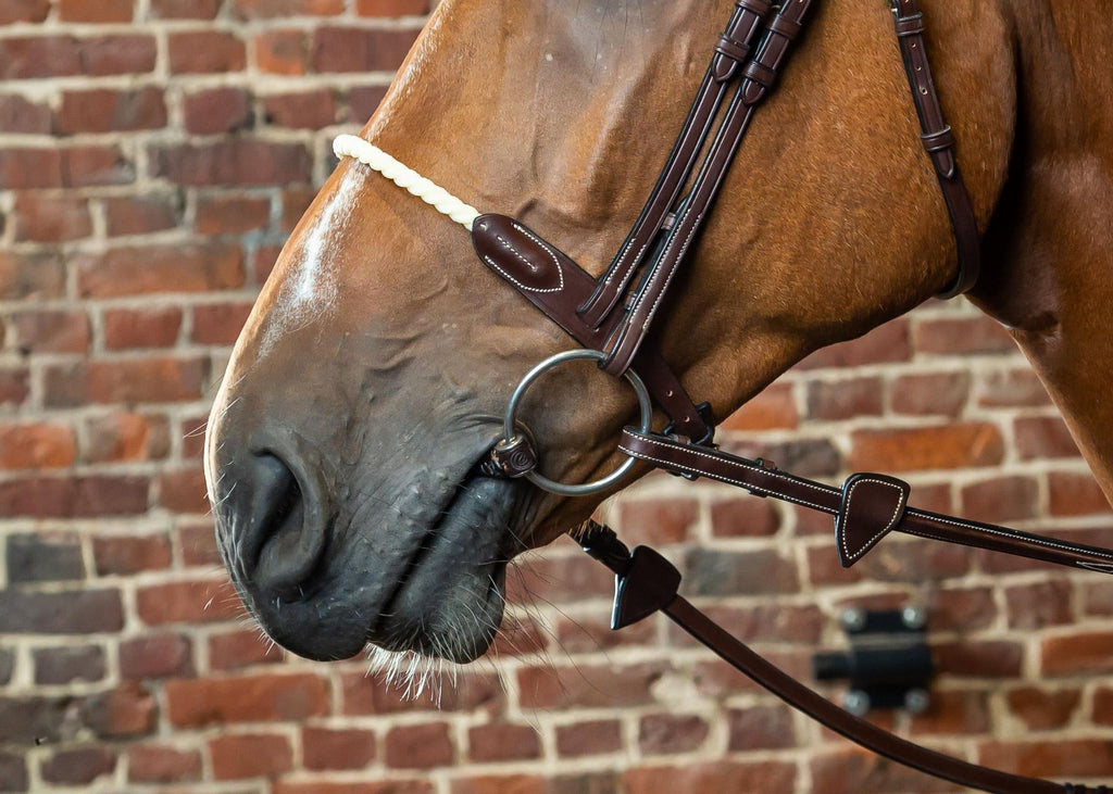 Dyon Rope Noseband