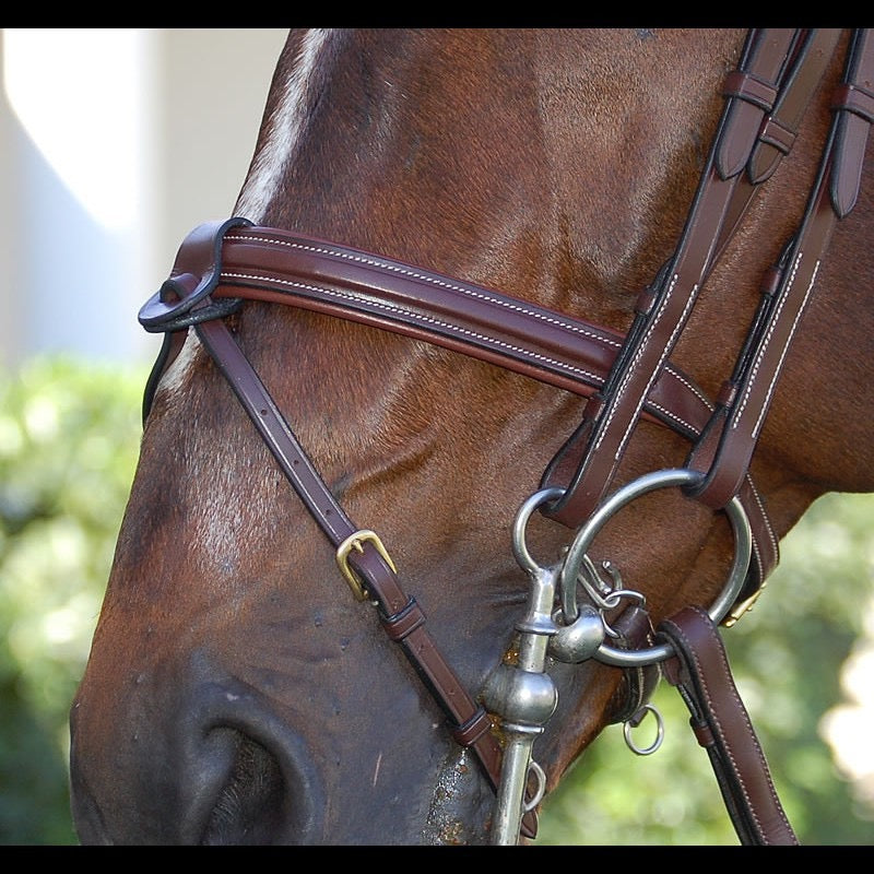 Dyon Double Bridle