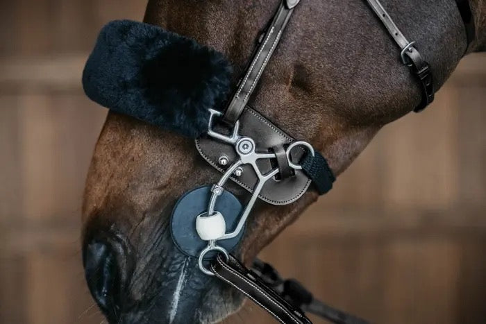 Trust Hackamore protection