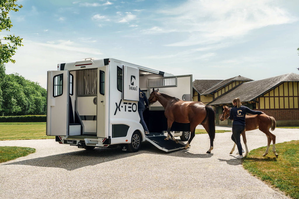 Theault XTEO horsebox with the ramp down and two horses being loaded by a handler
