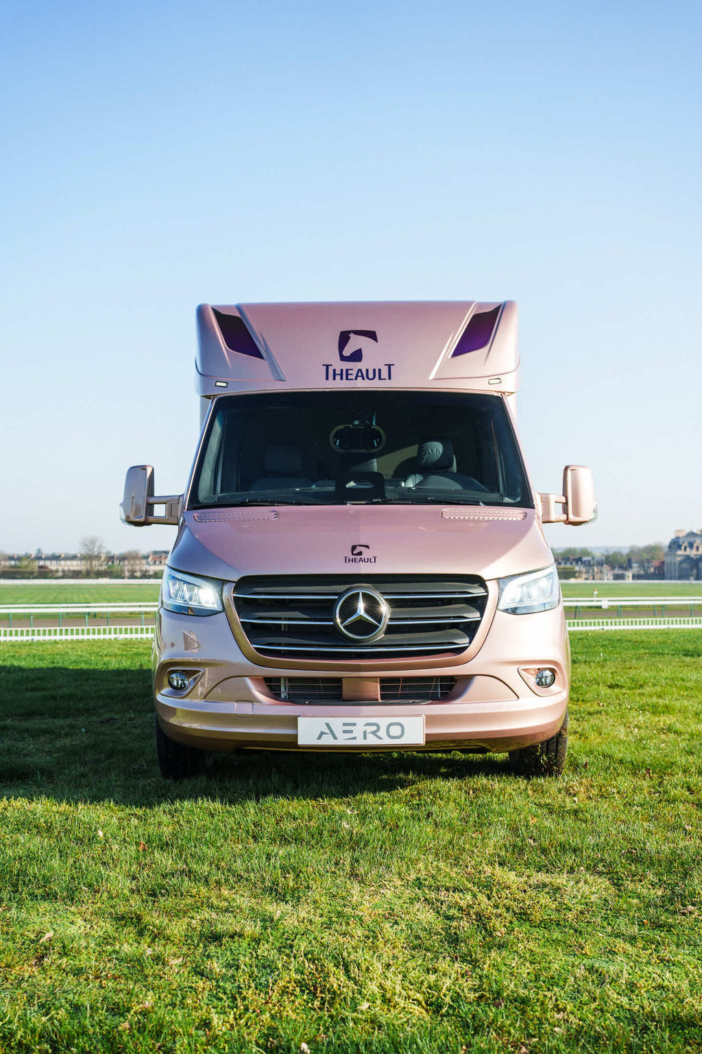 Front three-quarter view of a Theault Aero Sprinter horsebox on grass