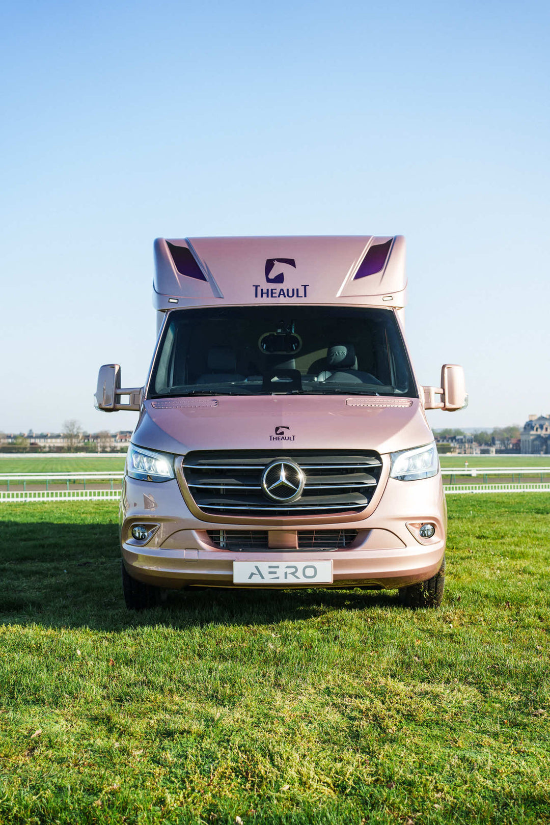 Theault - Aero Sprinter Horsetruck