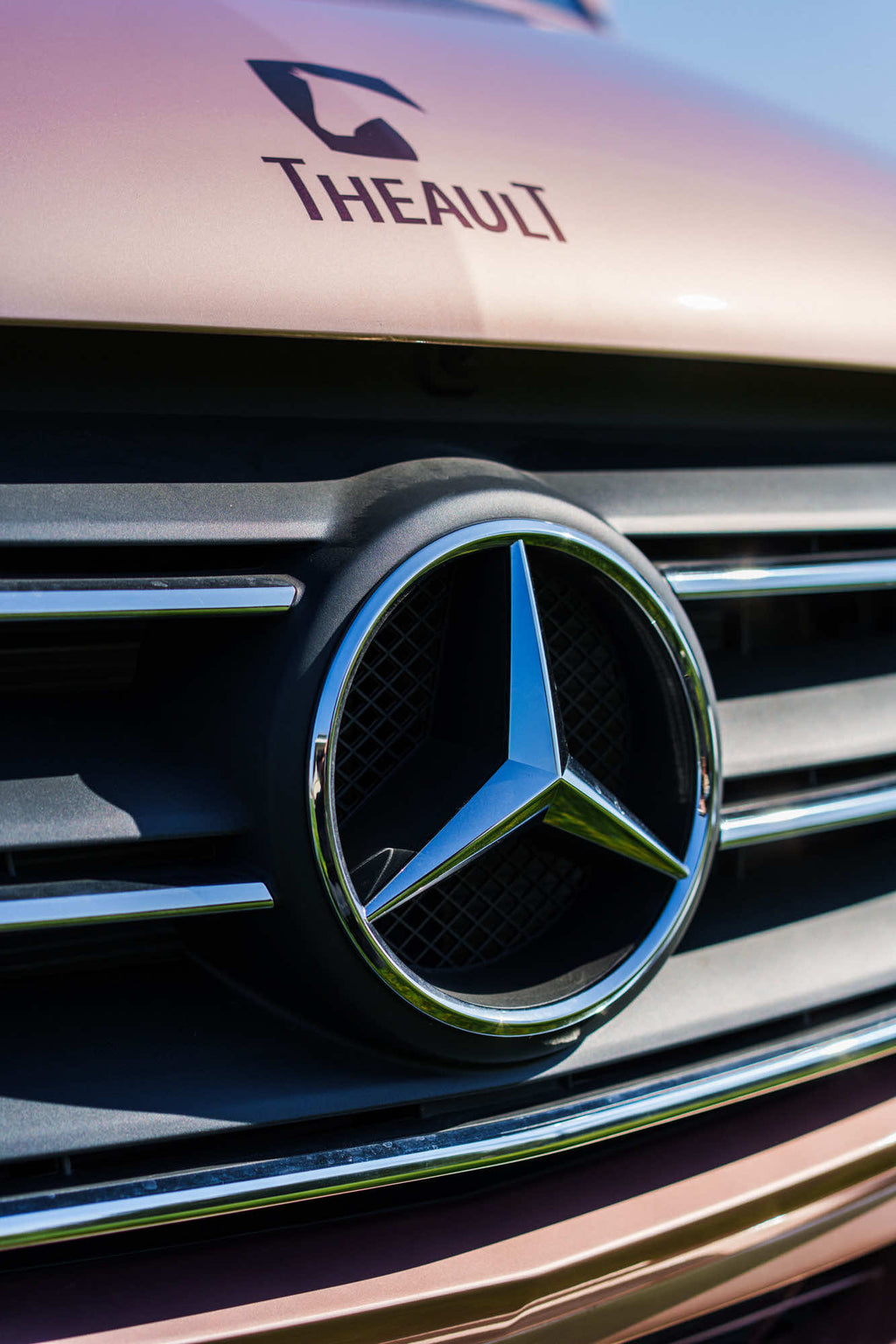 Mercedes-Benz grille badge on a Theault Aero Sprinter horsebox