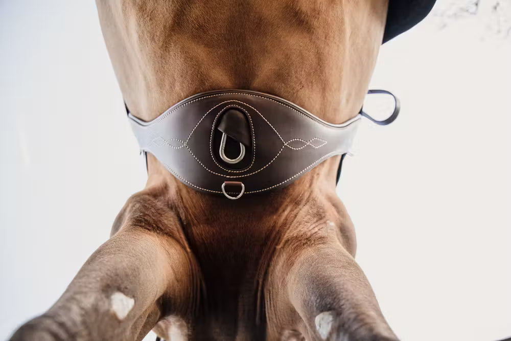 Kentucky Horsewear Anatomic Girth Brown
