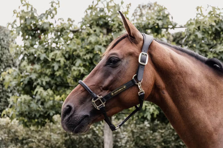 Kentucky Horsewear Leather Anatomic Halter