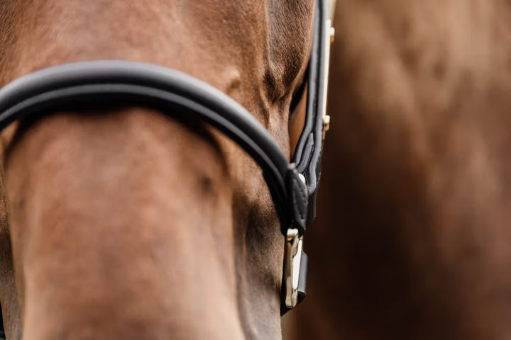Kentucky Horsewear Leather Anatomic Halter