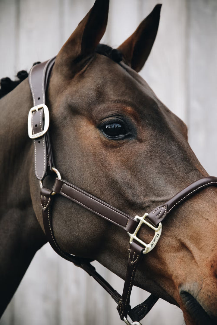Kentucky Horsewear Leather Anatomic Halter