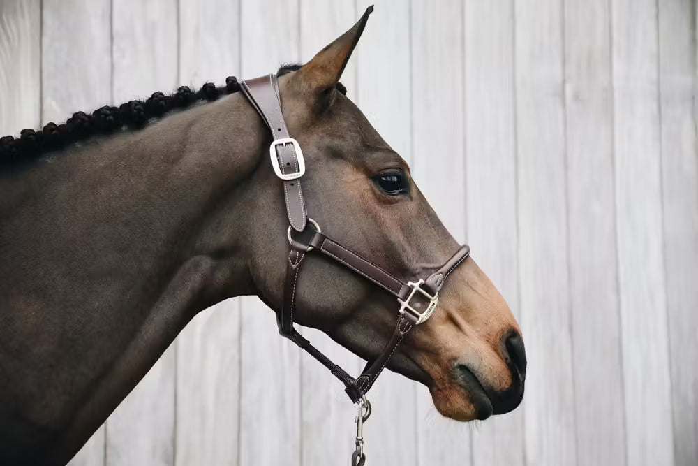 Kentucky Horsewear Leather Anatomic Halter