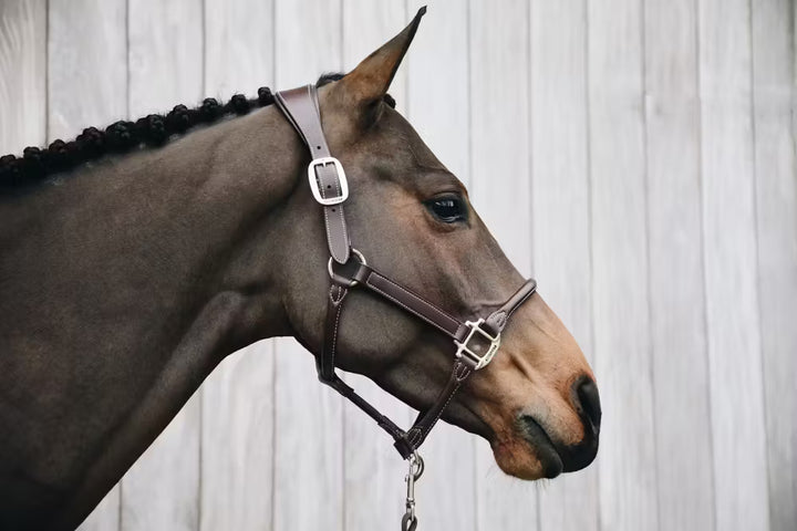 Kentucky Horsewear Leather Anatomic Halter