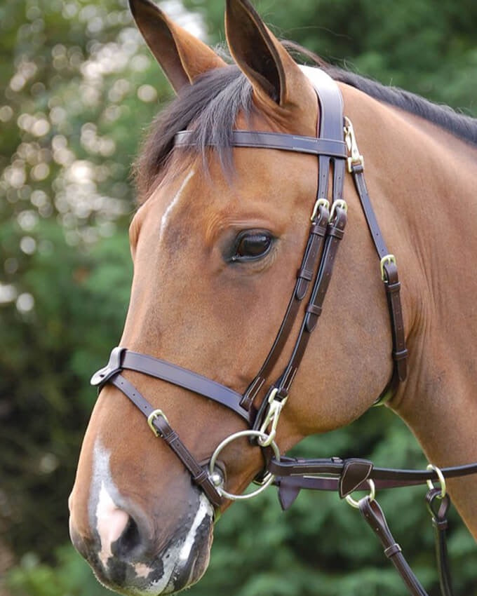 Dyon Working Collection Bridle With Snaps