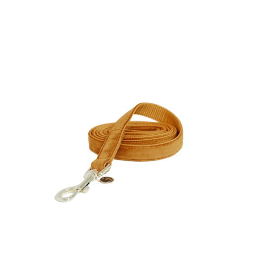 Kentucky Horsewear Dog Lead Velvet 120Cm