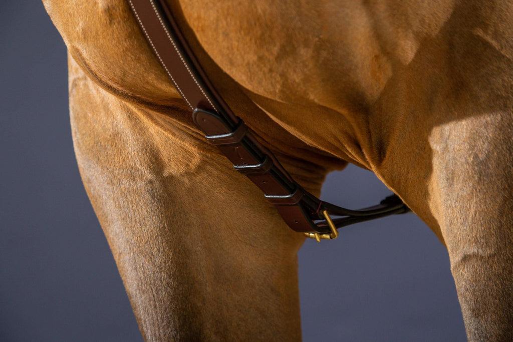 Dyon Long Bridge Breastplate